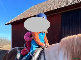 hästar Ponny lämplig för barnbarn - Annons 19