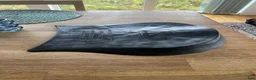 Sadeltillbehör hästutrustning till salu: Acavallo gel pad back riser - Annons 2