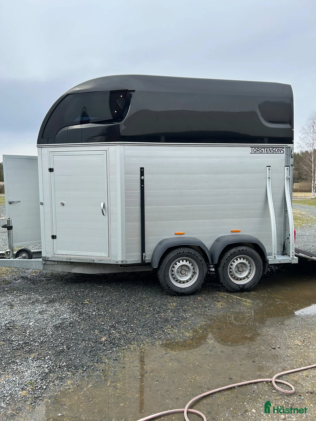 Hästtransporter  fordon & transport till salu: Sirius s75 -21 - Annons 1