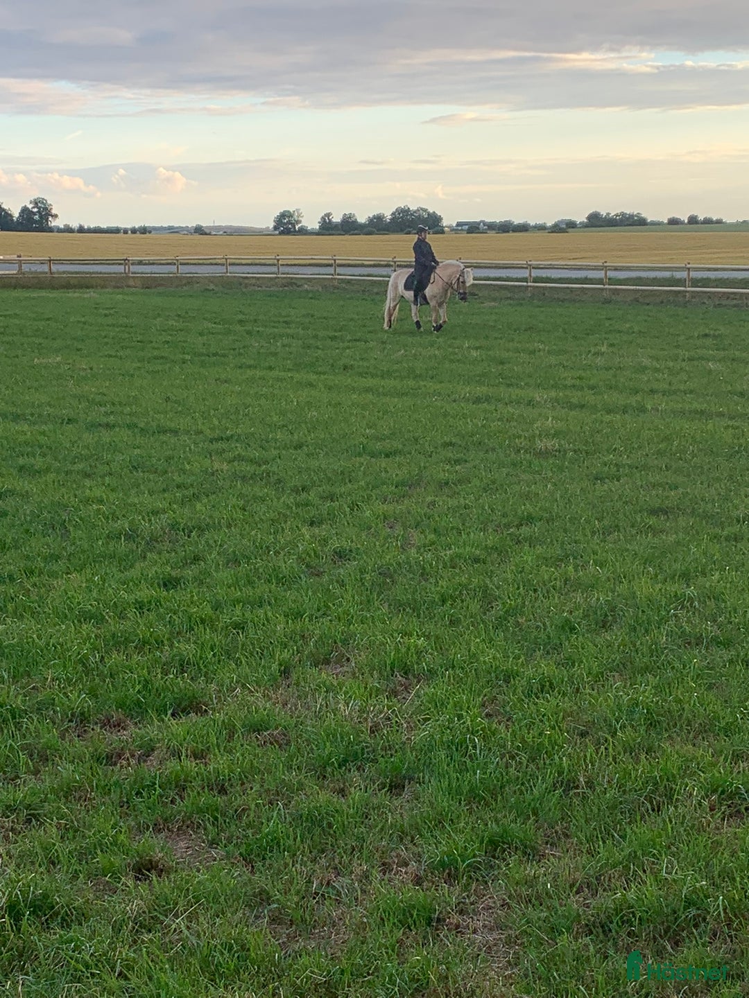  stallplats finnes: Stallplats ledig i Trelleborg - Bild 7
