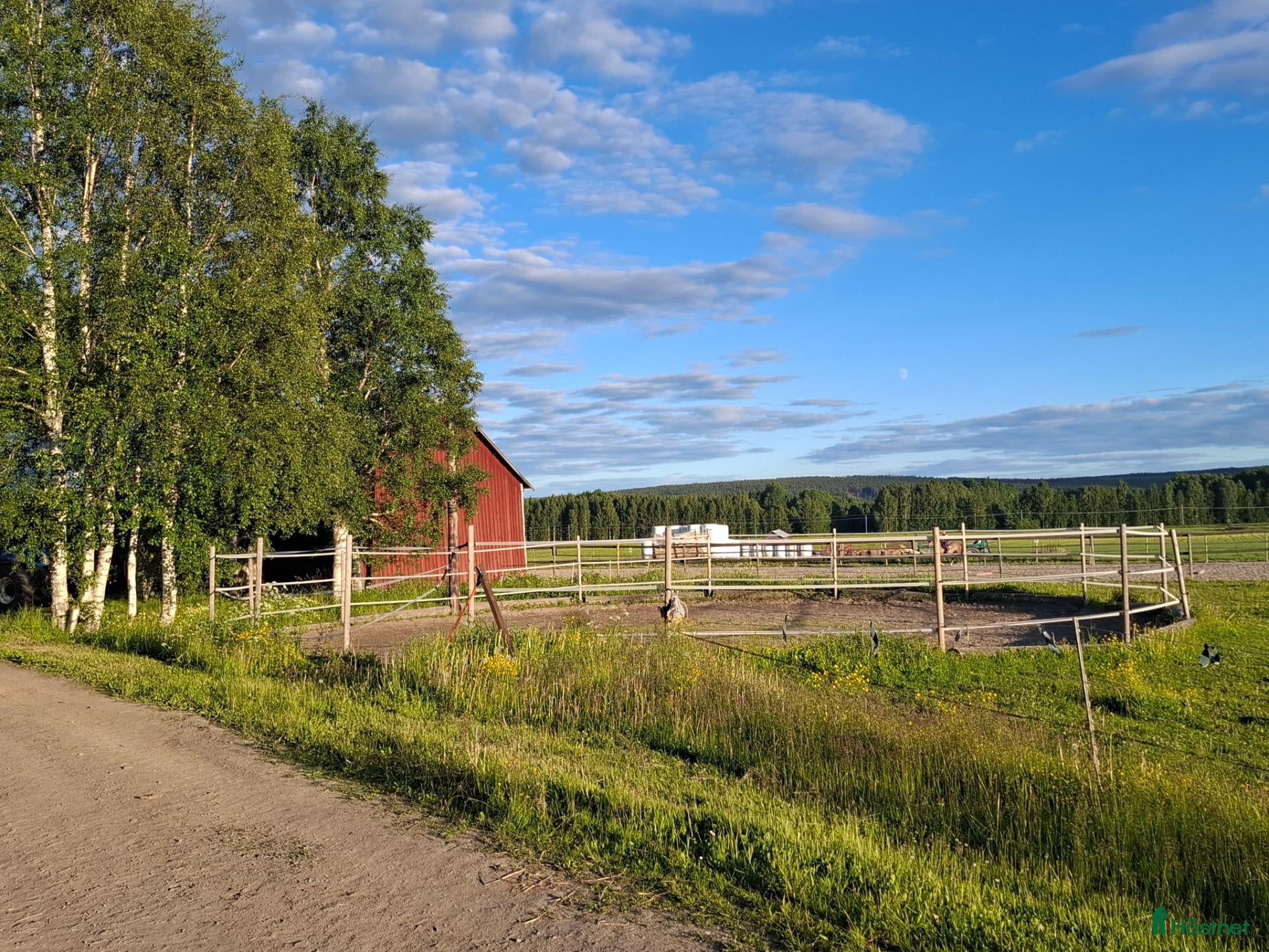  stallplats Lösdriftsplatser finns i Skellefteå  - Annons 2