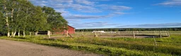  stallplats finnes: Lösdriftsplatser finns i Skellefteå  - Annons 1