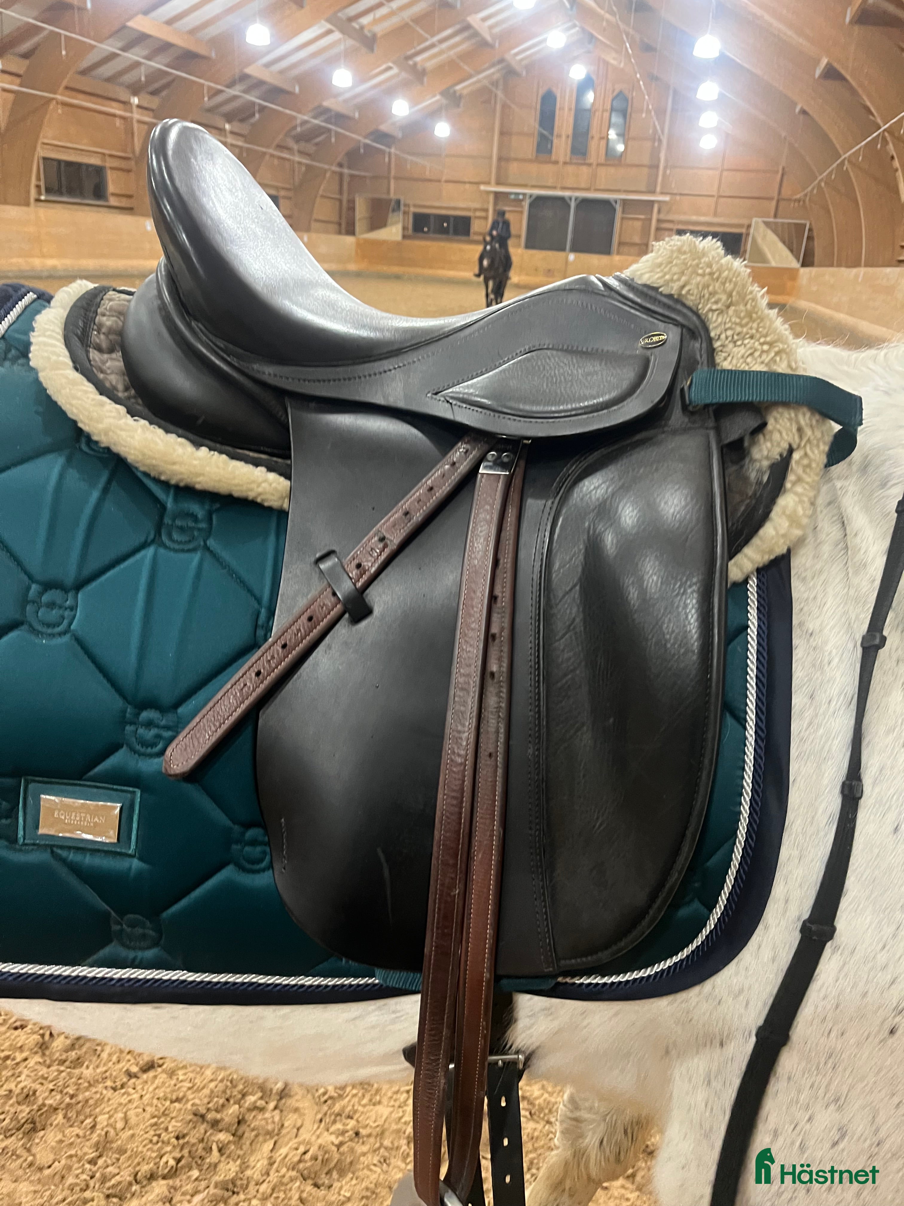 Sadlar hästutrustning Globus clic i nyskick  - Annons 4