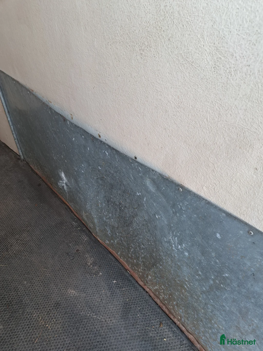 Hästtransporter  fordon & transport till salu: Star x 3000 år2005 - Annons 10