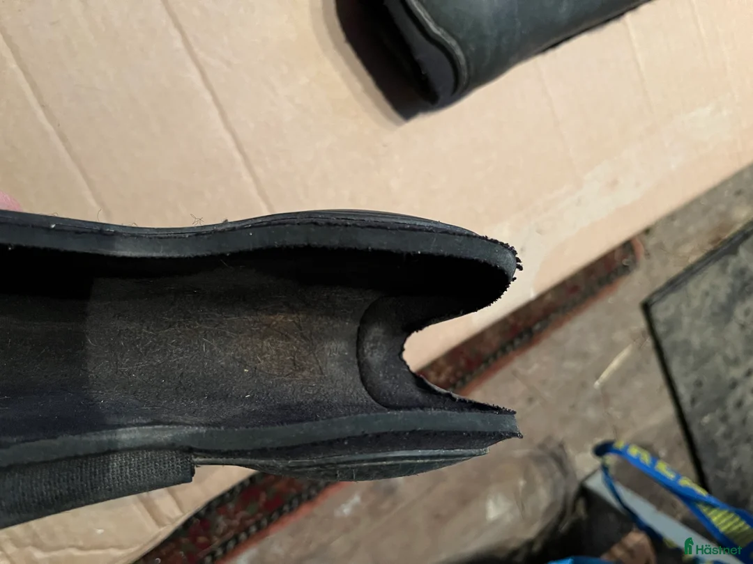 Benskydd hästutrustning till salu: Eskadron och terrängskydd i Drottningholm - Annons 6