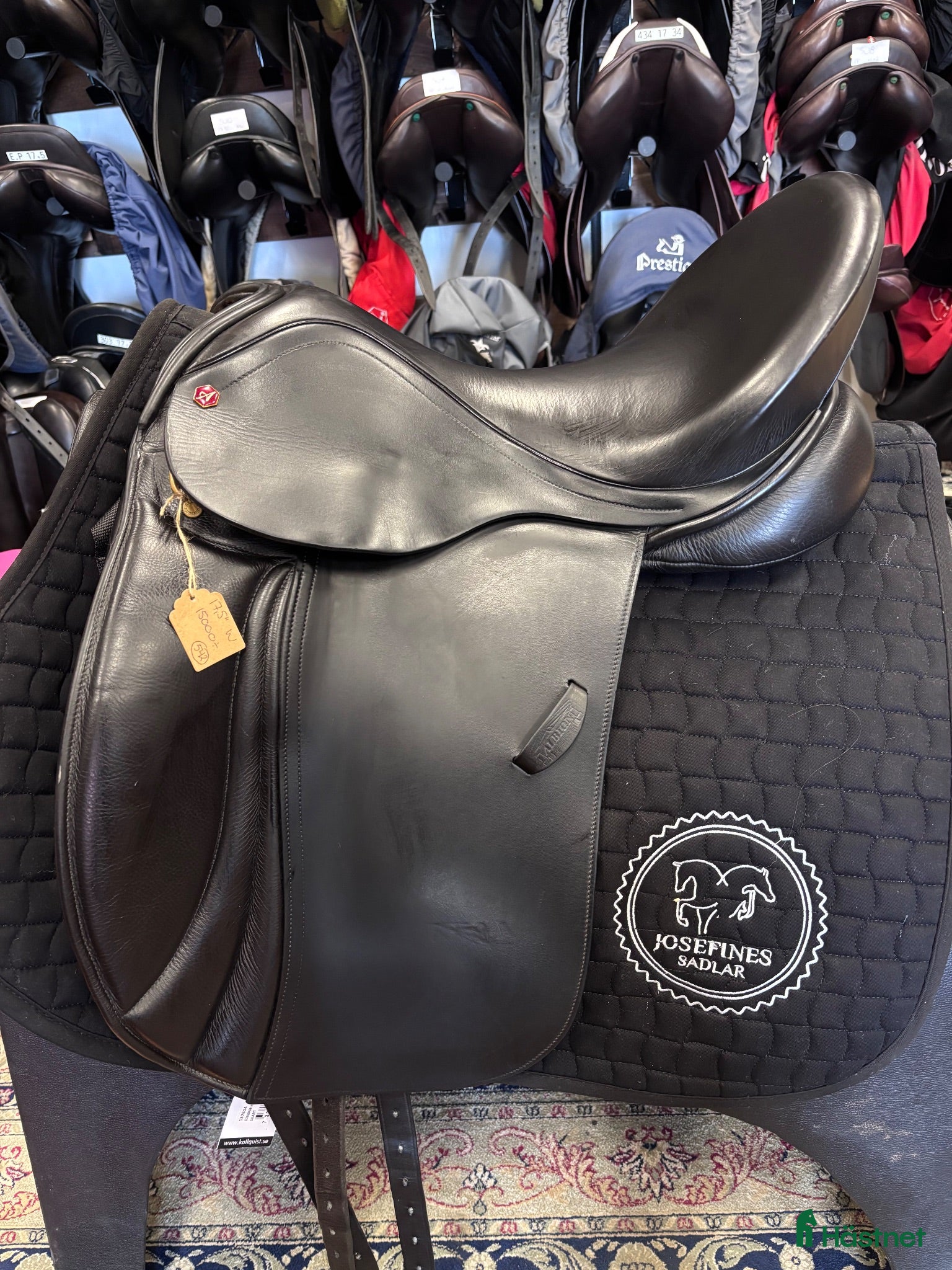 Sadlar hästutrustning Albion K2 17,5” (542) - Annons 4