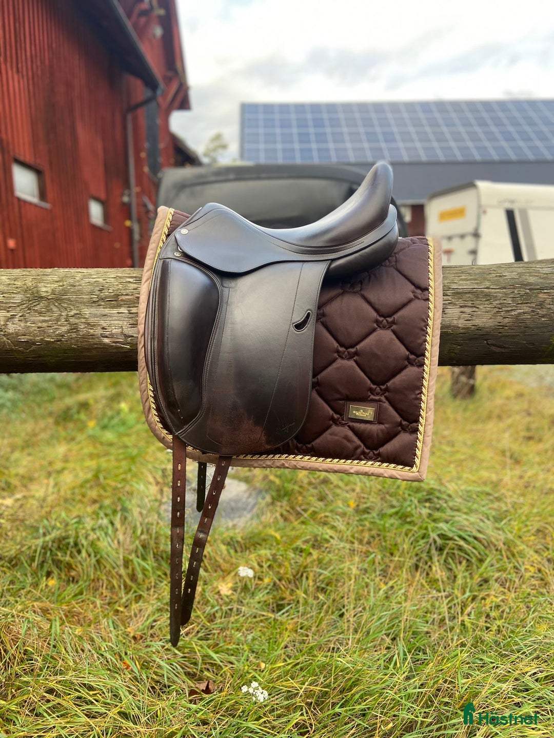 Sadlar hästutrustning till salu: Equipe Emporio  i Ekerö - Annons 2