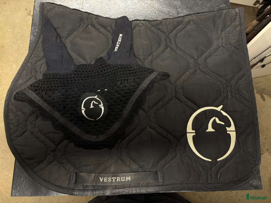 Schabrak & Vojlockar hästutrustning till salu: Stilrena och bekväma hästschabrak  - Annons 5