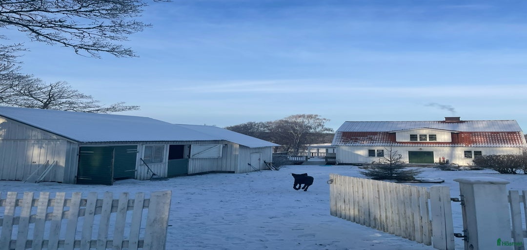 Galleribild {{count}}