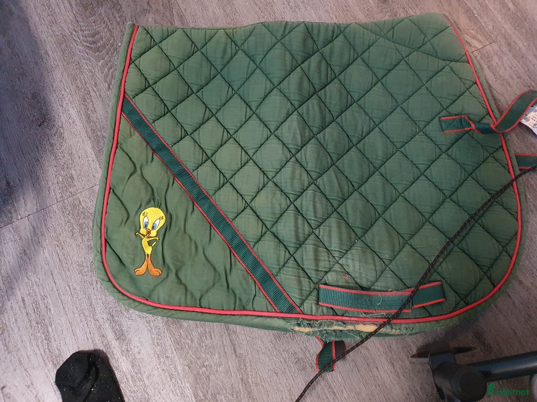 Schabrak & Vojlockar hästutrustning till salu: Schabrak  i Herrljunga - Annons 3