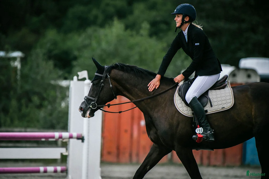 Galleribild {{count}}