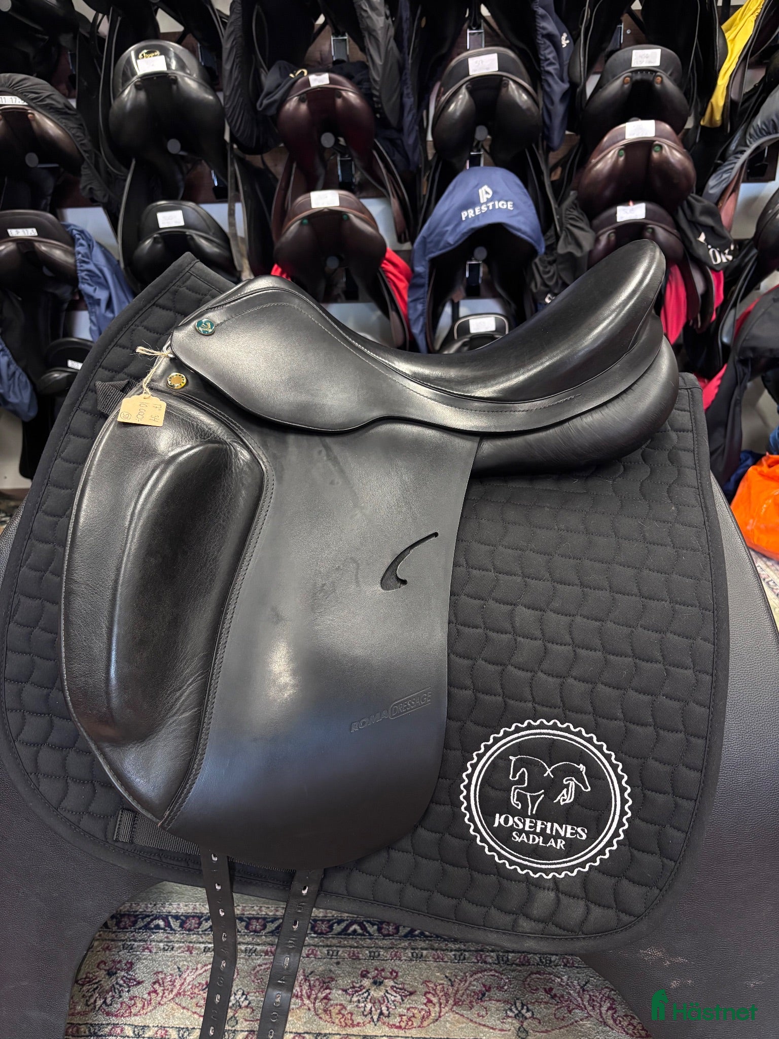 Sadlar hästutrustning Prestige Roma 17” (528) - Annons 2
