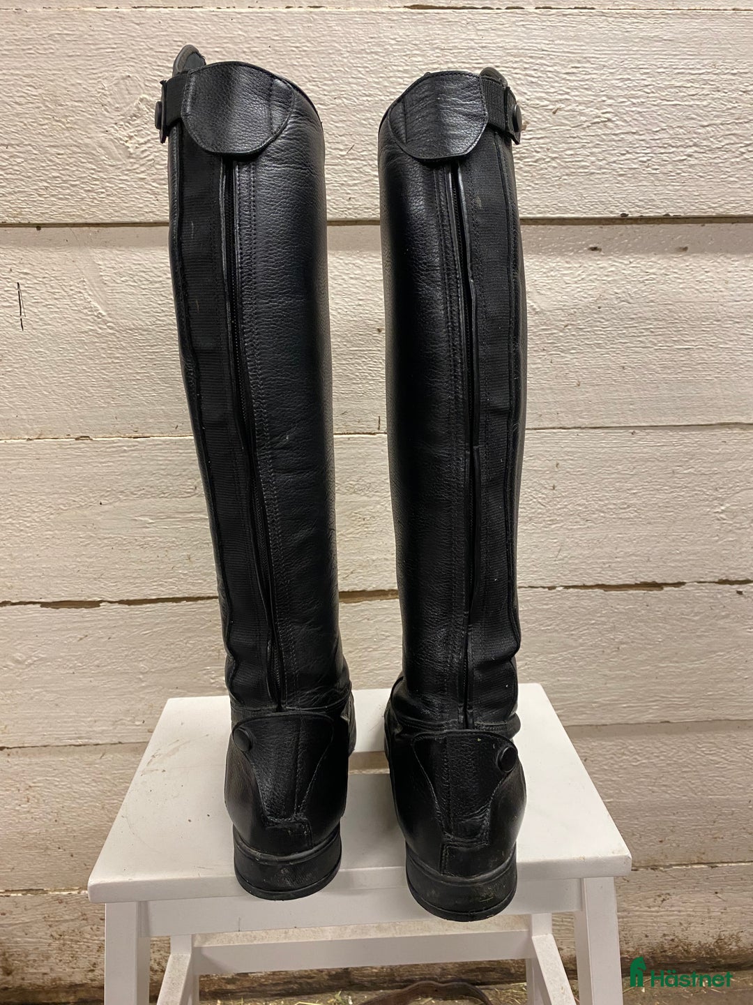 Ridstövlar ryttarutrustning till salu: Ridstövel Amadora i Njurunda - Annons 4