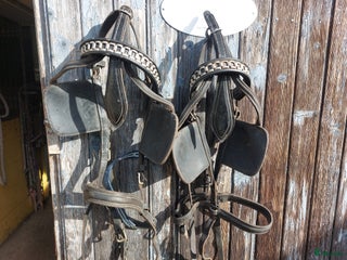 Övrig Körutrustning körning till salu: Parhuvudlag i Strömsund - Annons 4