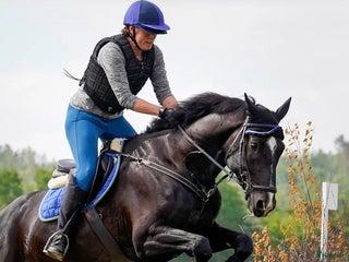 hästar Sportig allround valack i Göteborg - Annons 2