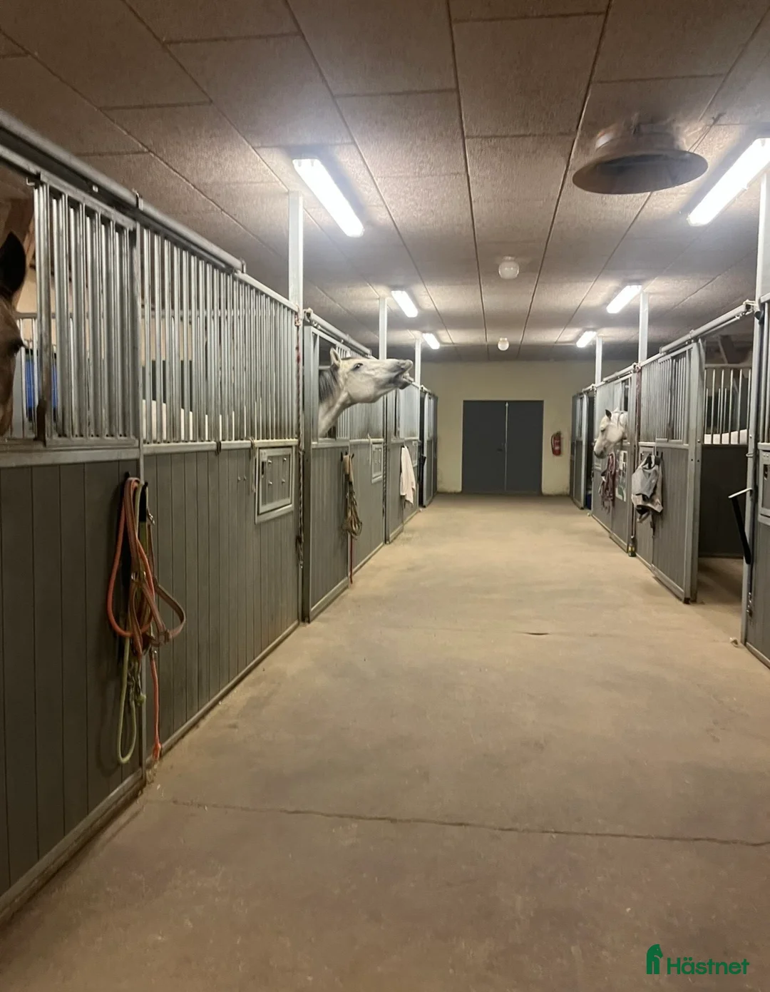  stallplats finnes: Norrköping - Annons 1