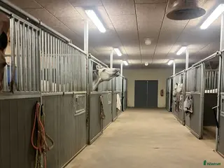 stallplats Ledig boxplats, Norrköping - Annons 13