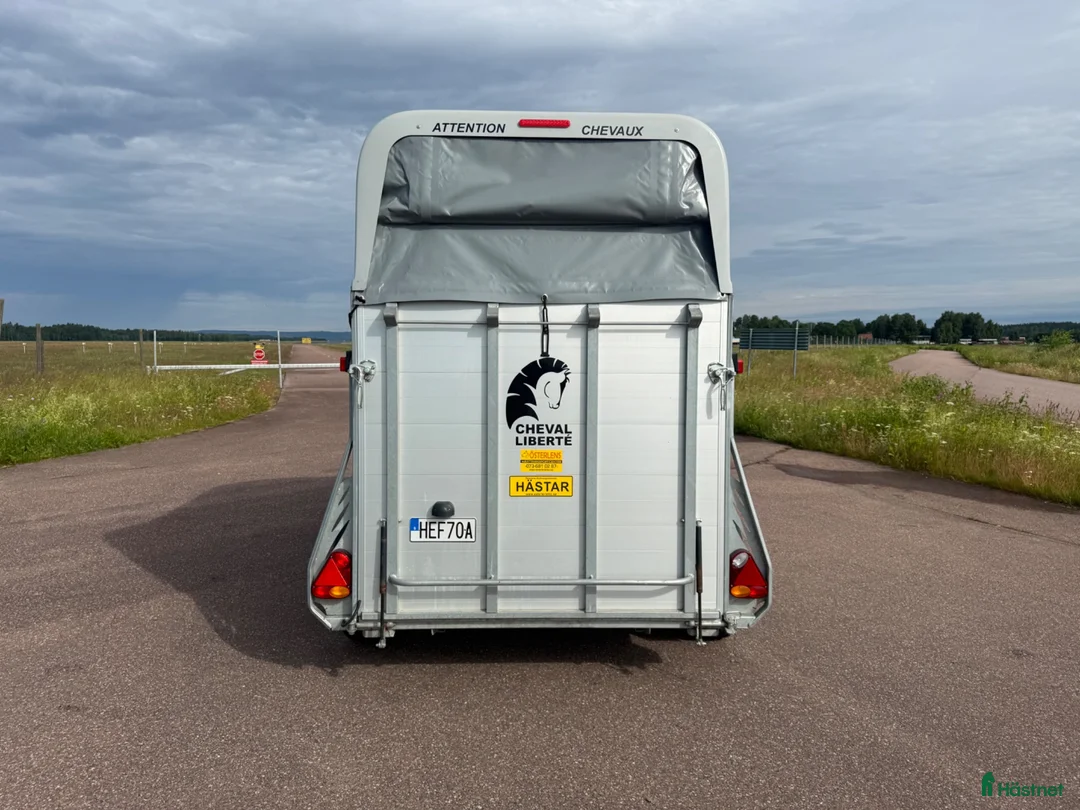 Hästtransporter  fordon & transport till salu: Cheval Gold2 -19 - Annons 5
