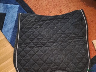 Schabrak & Vojlockar hästutrustning till salu: Dressyr schabrak i Jonstorp - Annons 19