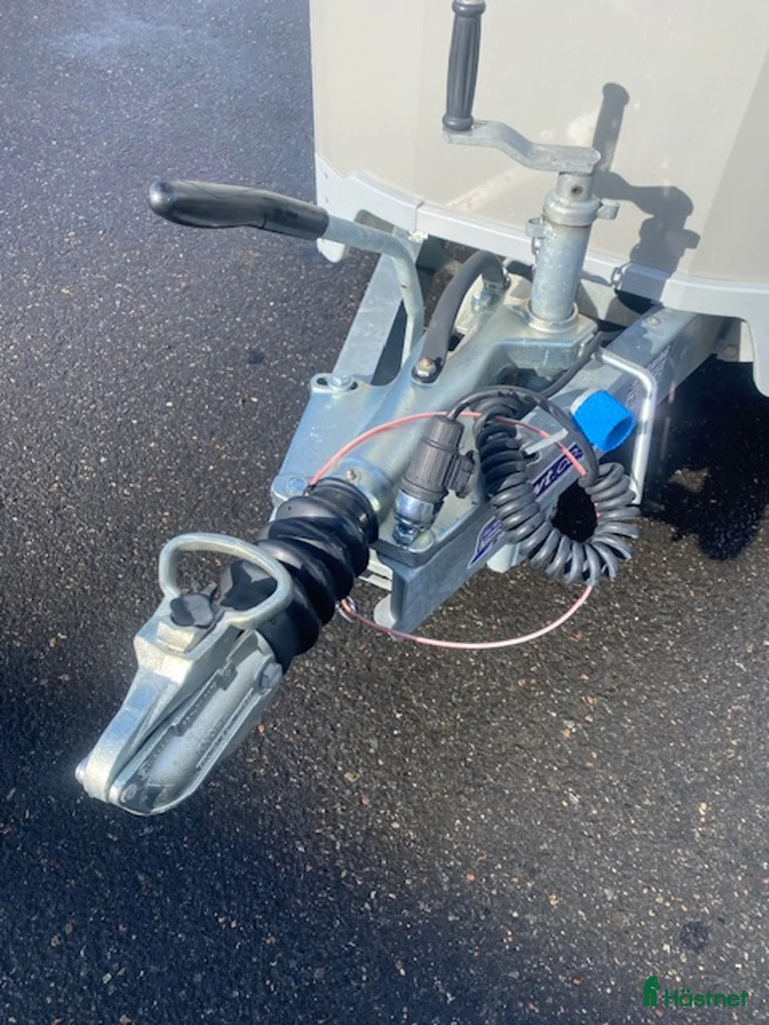 Hästtransporter  fordon & transport till salu: Ifor WIlliams HB511 Diagonal - Annons 11