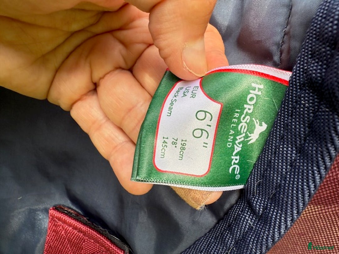 Täcken hästutrustning till salu: Rambo Summer Series stl 145 i Falsterbo - Annons 7