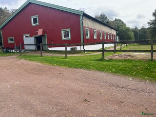 stallplats finnes: Boxplatser lediga på Halleröd Gård i Kungälv - Annons 1
