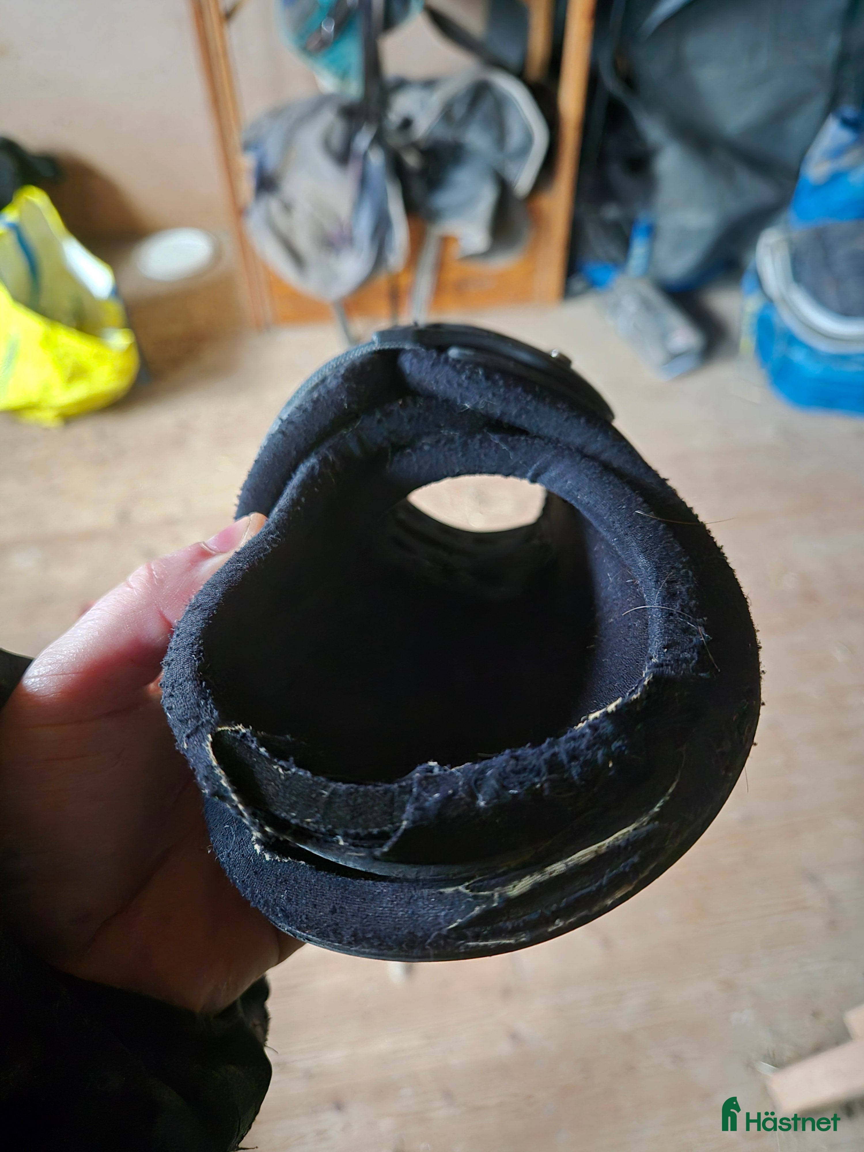 Benskydd hästutrustning Veredus benskydd - Annons 1