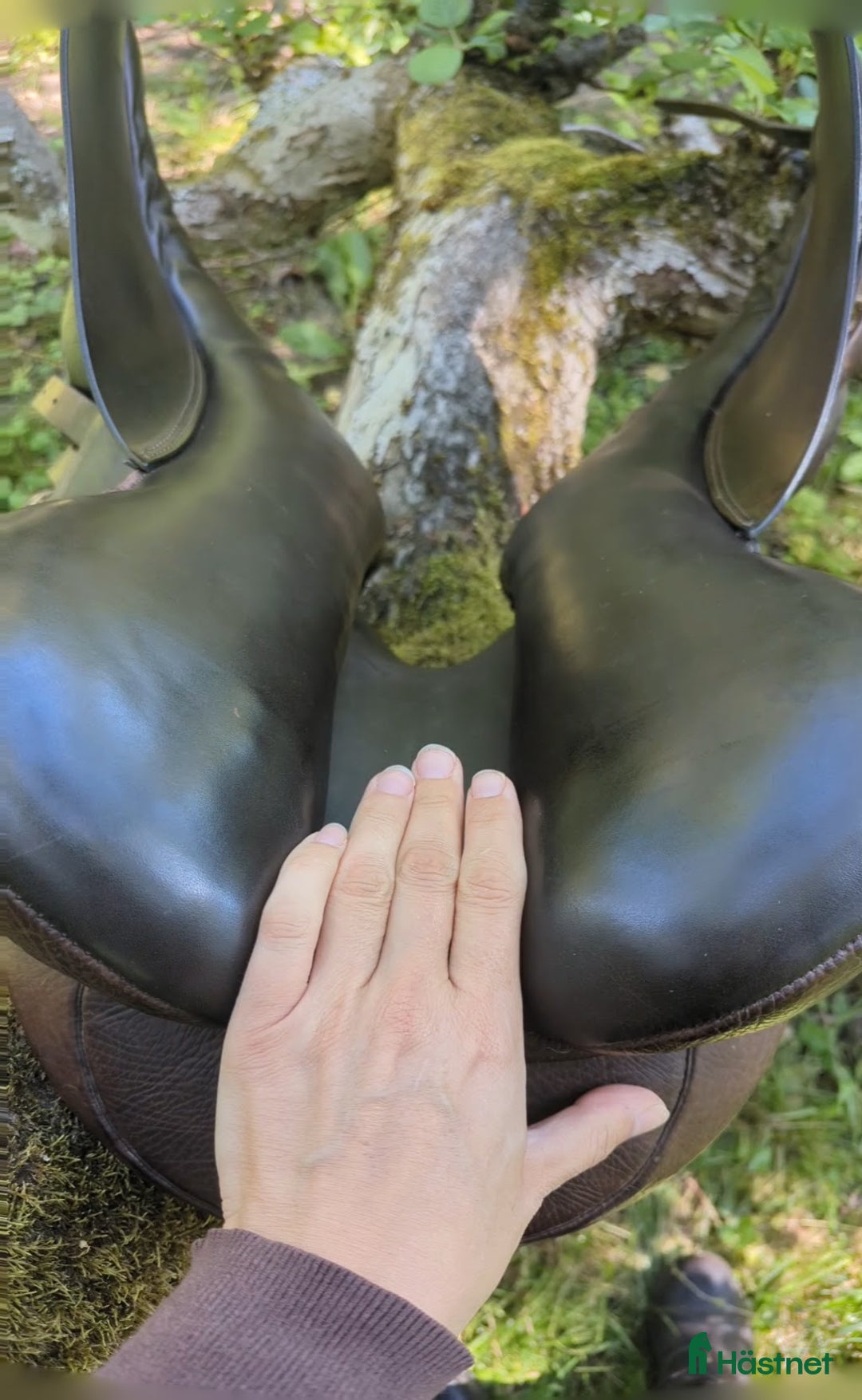 Sadlar hästutrustning till salu: Morris Nolan dressyrsadel  i Harbo - Annons 5