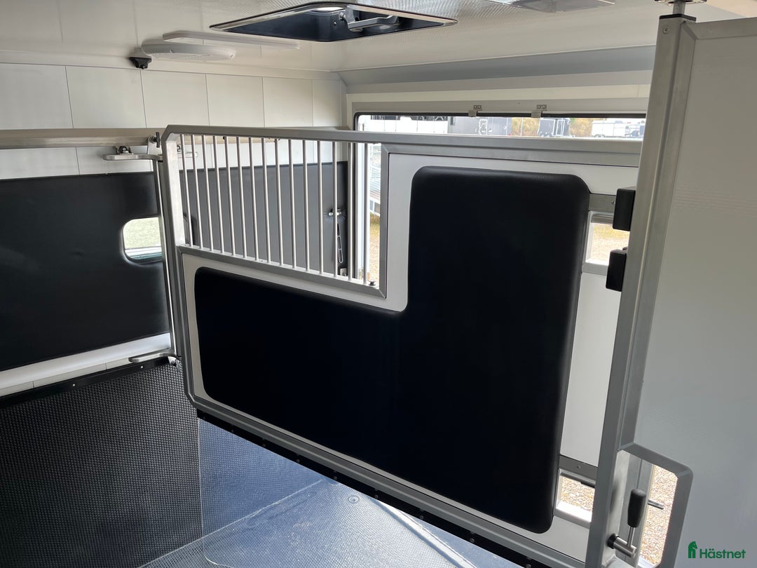 Hästlastbilar  fordon & transport till salu: ForzabEQV5 stuteri Nu bjuder vi på skatten i 36mån i Klippan - Annons 11