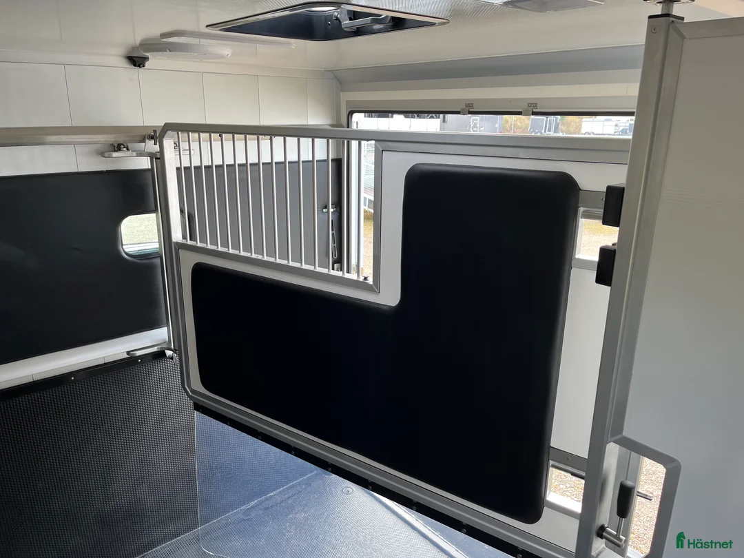 Hästlastbilar  fordon & transport till salu: ForzabEQV5 stuteri Nu bjuder vi på skatten i 36mån i Klippan - Annons 11