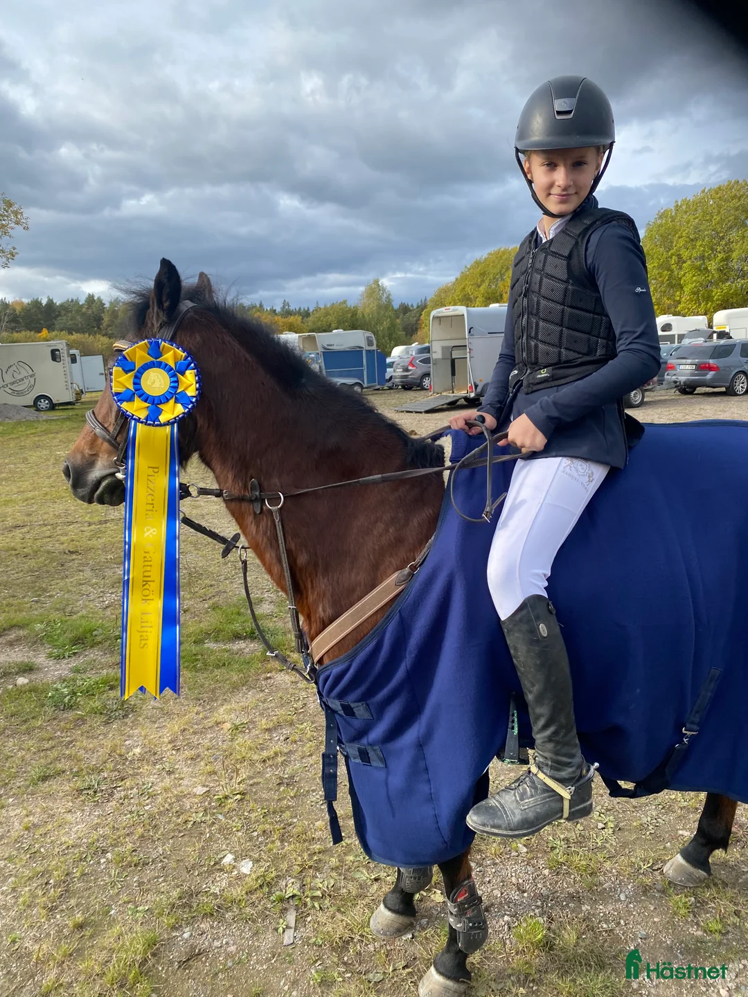 Hoppning hästar till salu: Rosett plockare i Sala - Annons 13