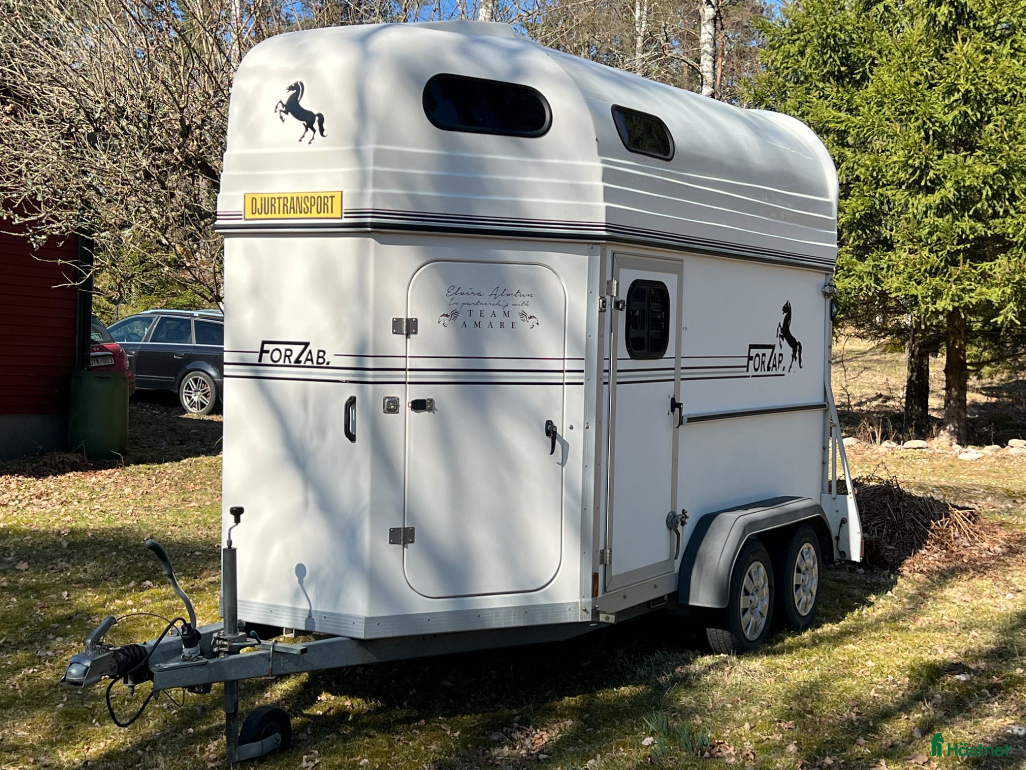 Hästtransporter  fordon & transport till salu: Forzab Cavallo SEH 20 - Annons 2