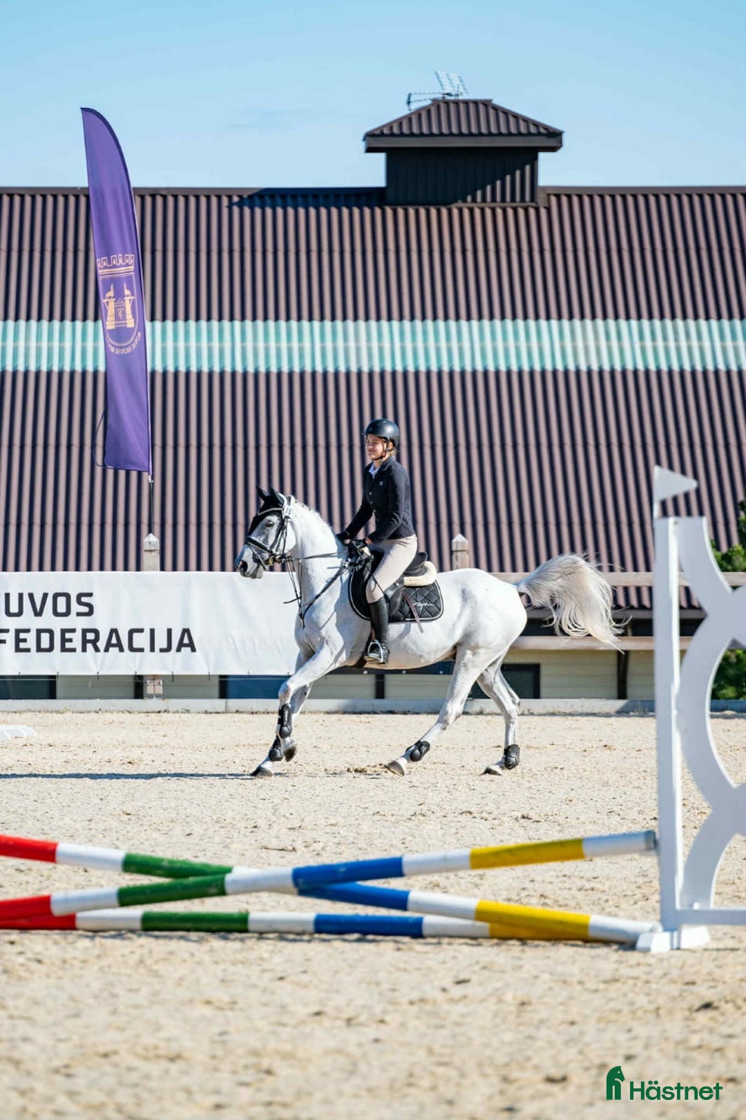 Allround hästar till salu: Super fin allround häst  i Västerås - Annons 2