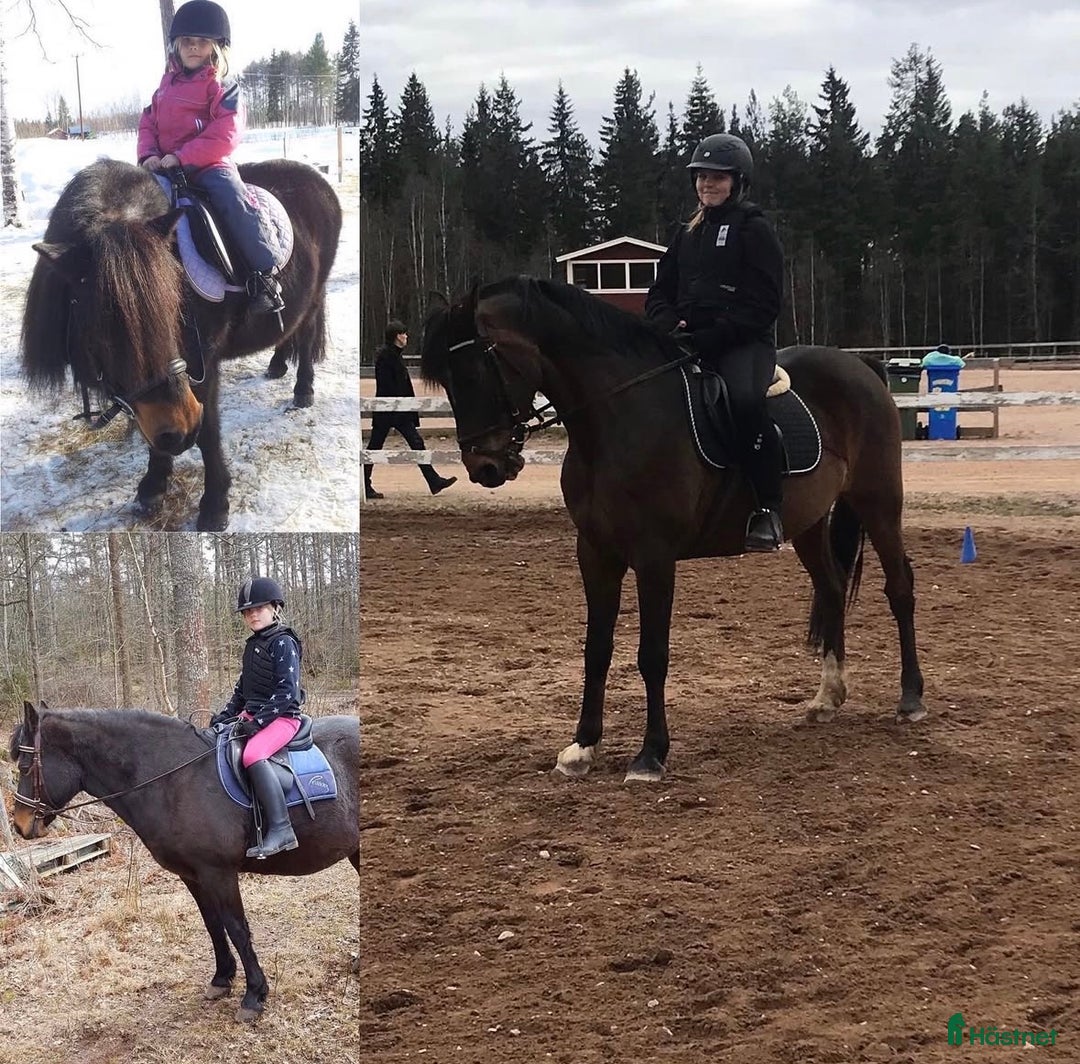 Galleribild {{count}}