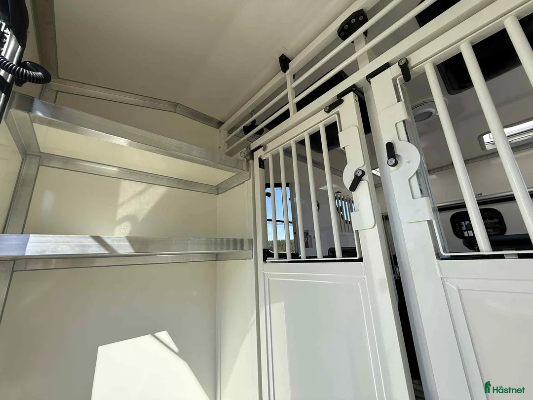 Hästlastbilar  fordon & transport till salu: PARAGAN EXCELSION 5XL STUTERI i Köping - Annons 15