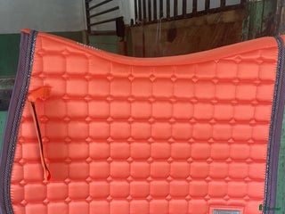 Schabrak & Vojlockar hästutrustning till salu: Equito sett i nyskick i Borås - Annons 2