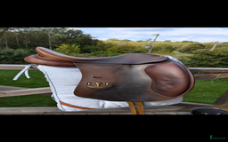 Sadlar hästutrustning till salu: Bruno delgrange dressyrsadel i Knäred - Annons 2