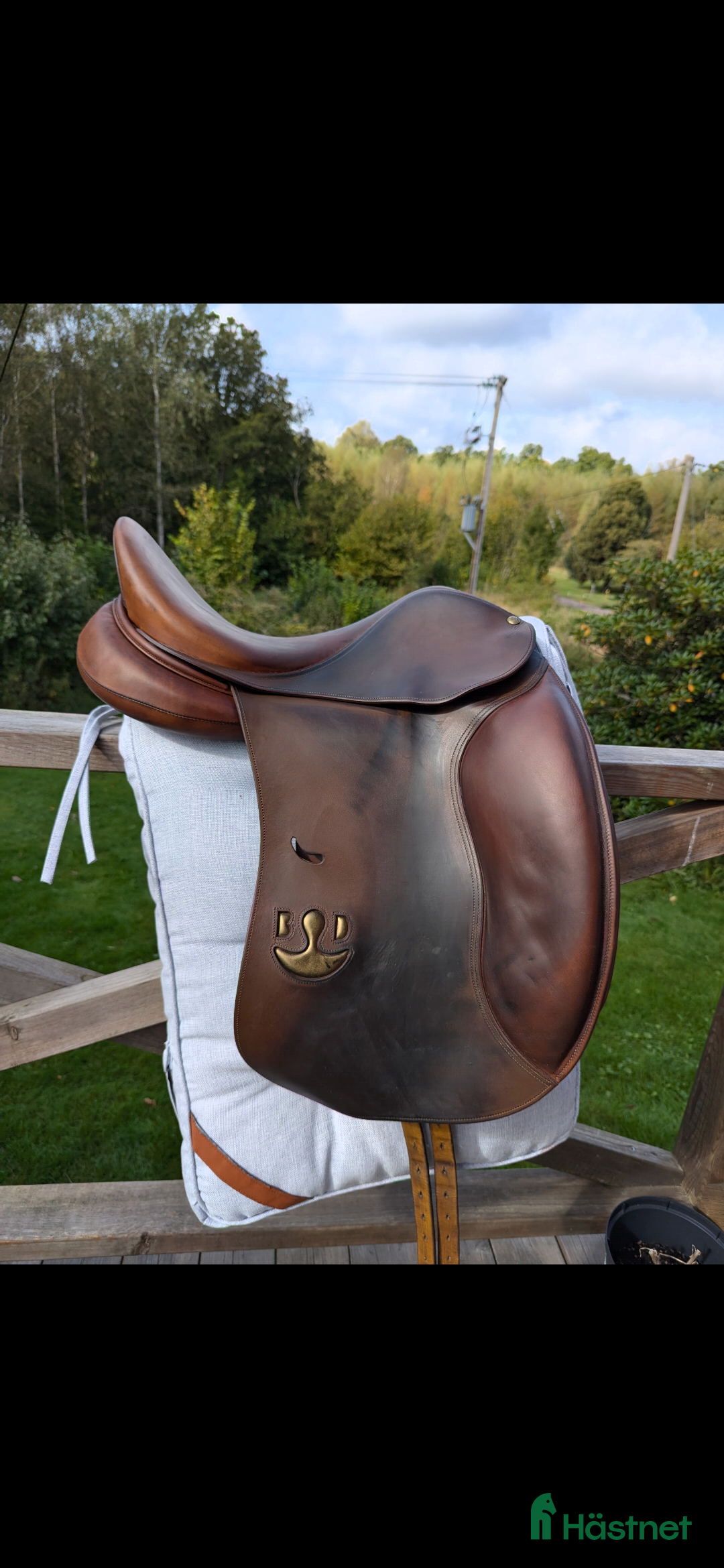 Sadlar hästutrustning till salu: Bruno delgrange dressyrsadel i Knäred - Annons 2
