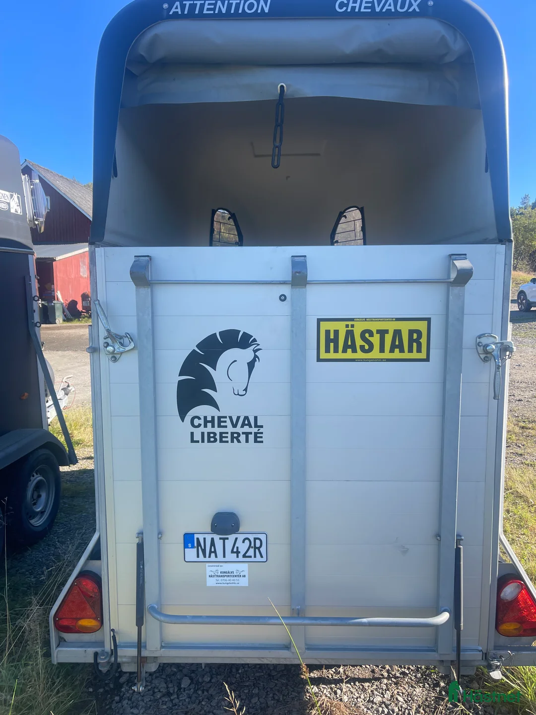 Hästtransporter  fordon & transport till salu: Cheval Gold One - Annons 5