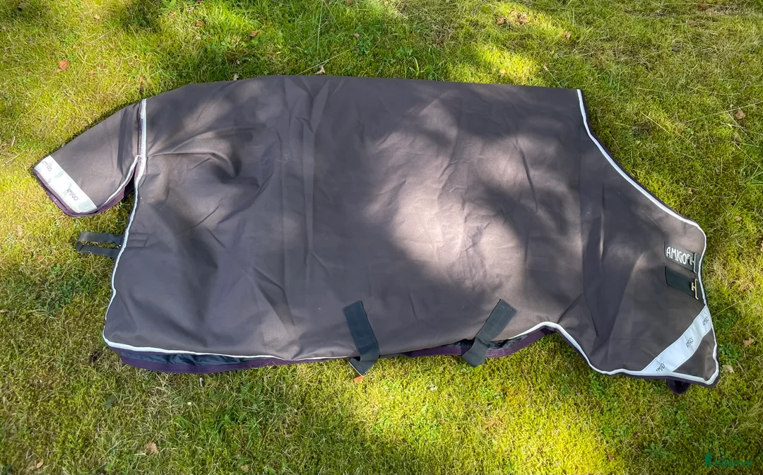 Täcken hästutrustning till salu: Amigo Bravo 250g i Alingsås - Annons 1