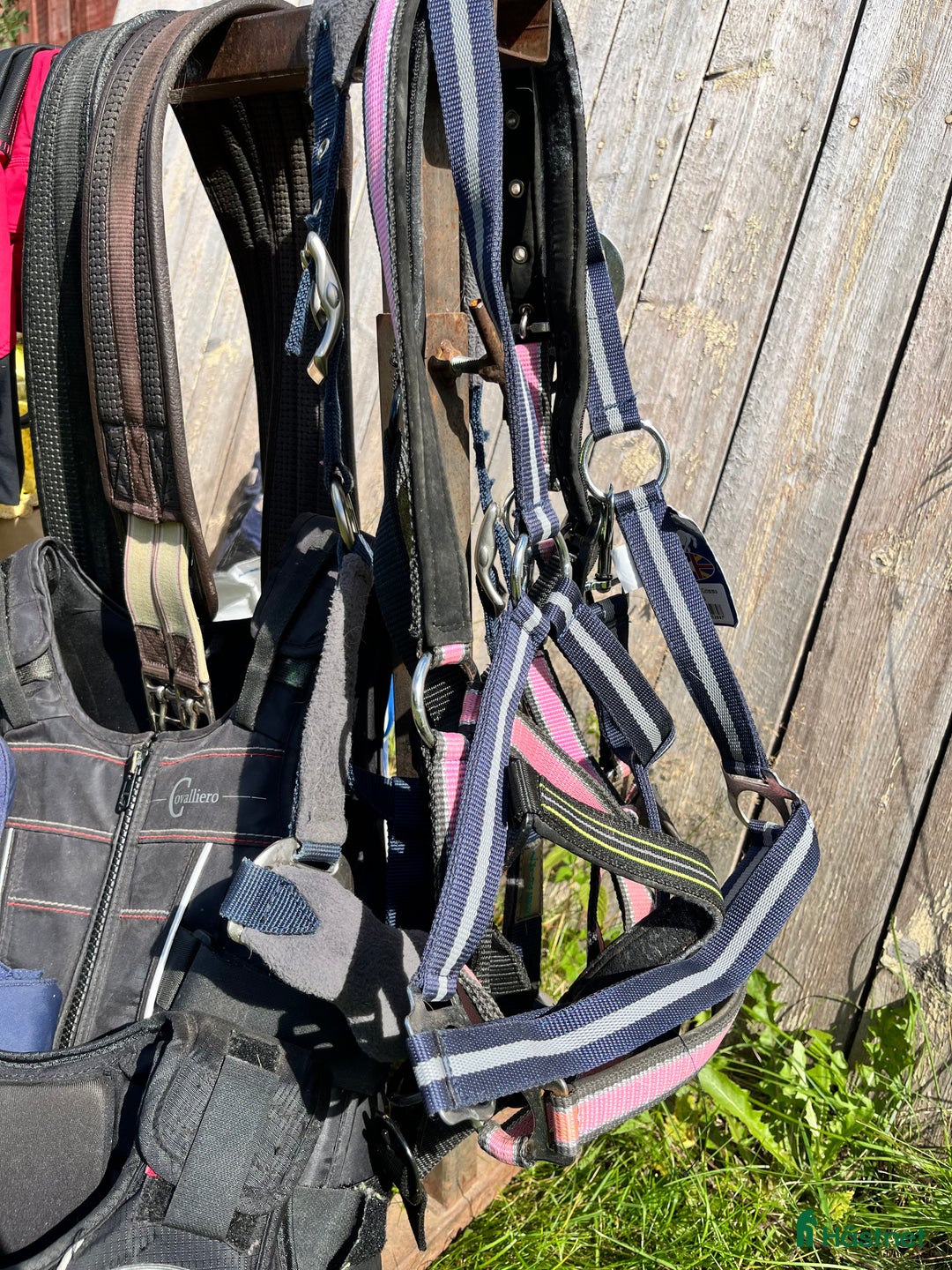 Övrig Hästutrustning hästutrustning till salu: Blandade hästsaker! i Äppelbo - Annons 6