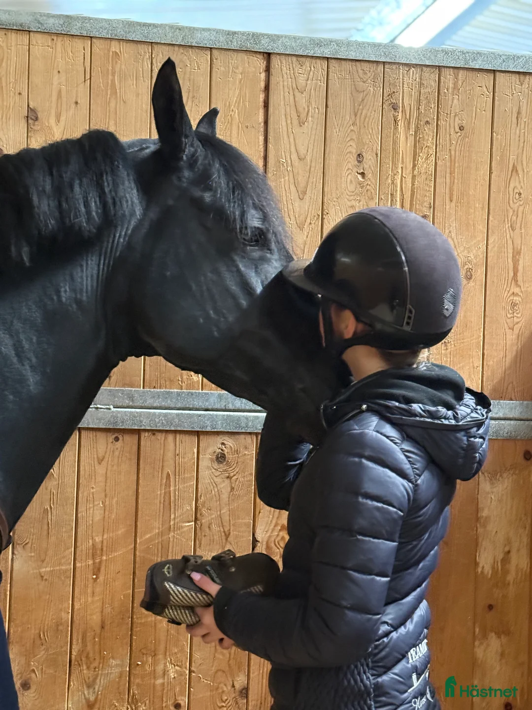 Hoppning hästar till salu: Läromästare och bästa vän!! - Annons 12