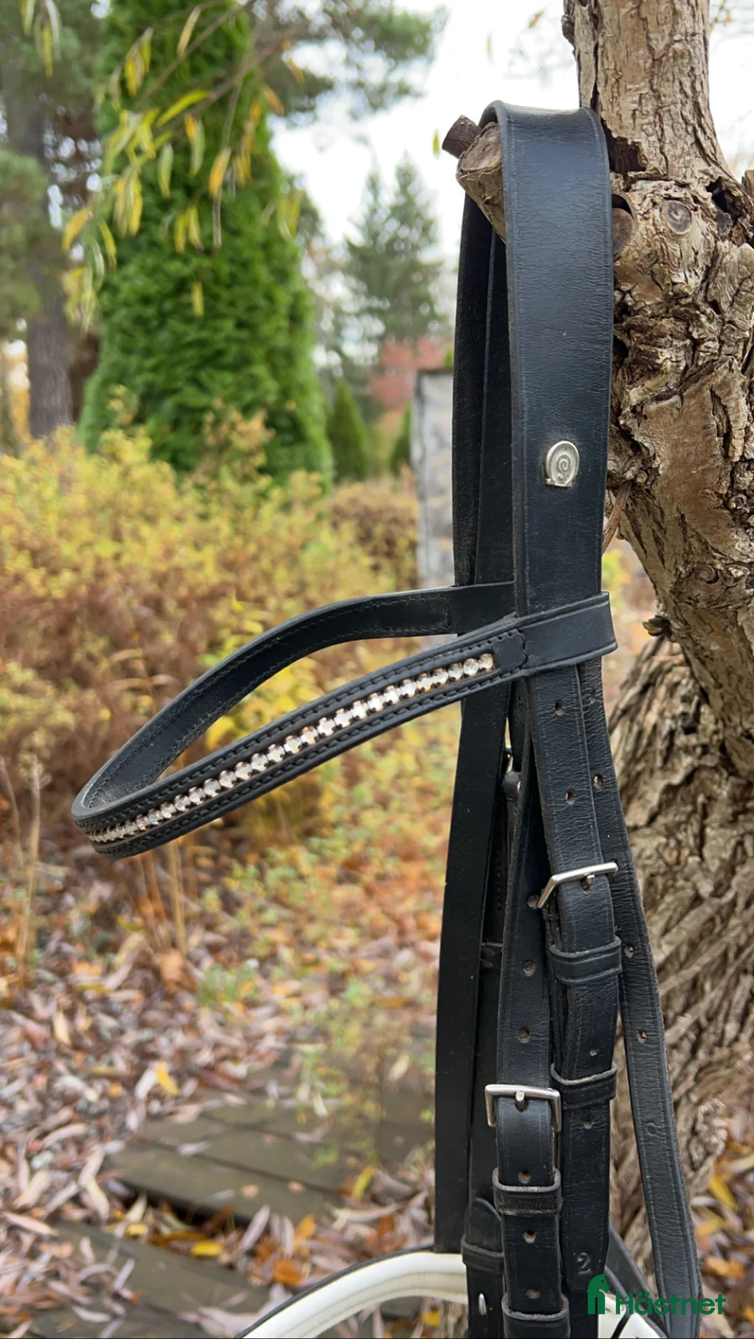 Träns hästutrustning till salu: Otto Schumacher träns i Vallentuna - Annons 2