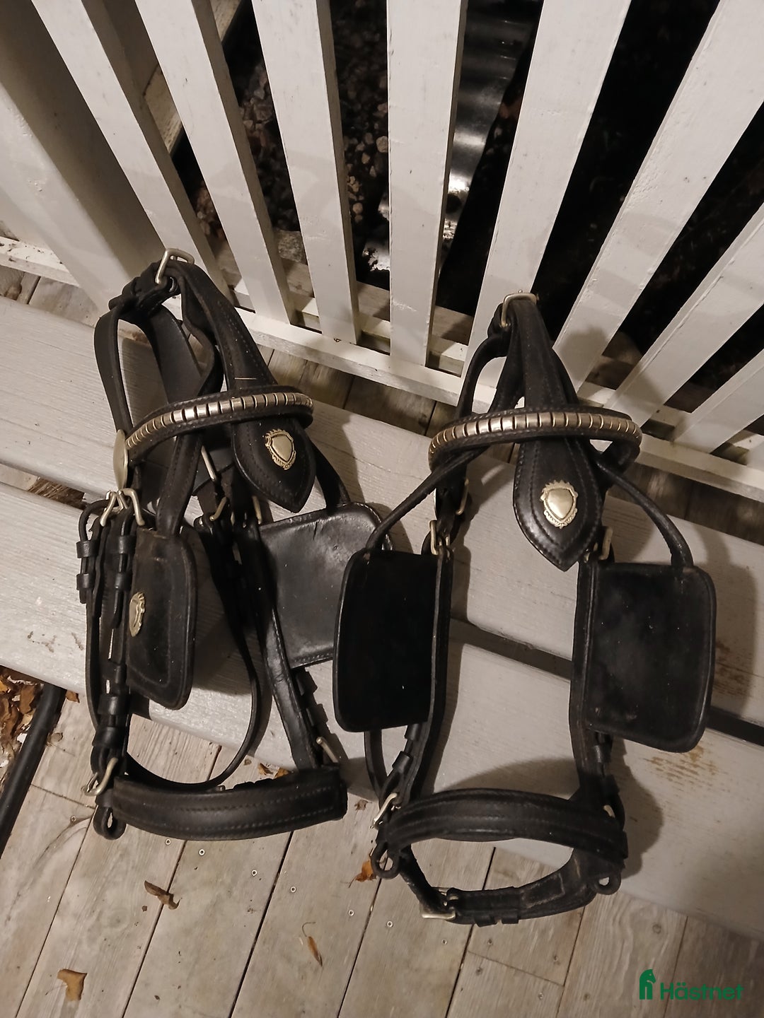 Körselar körning till salu: Parsele shettis i Björkvik - Annons 4