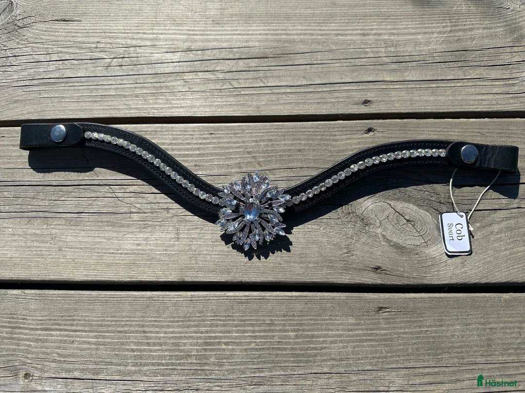 Övrig Hästutrustning hästutrustning till salu: Unika pannband - Annons 2