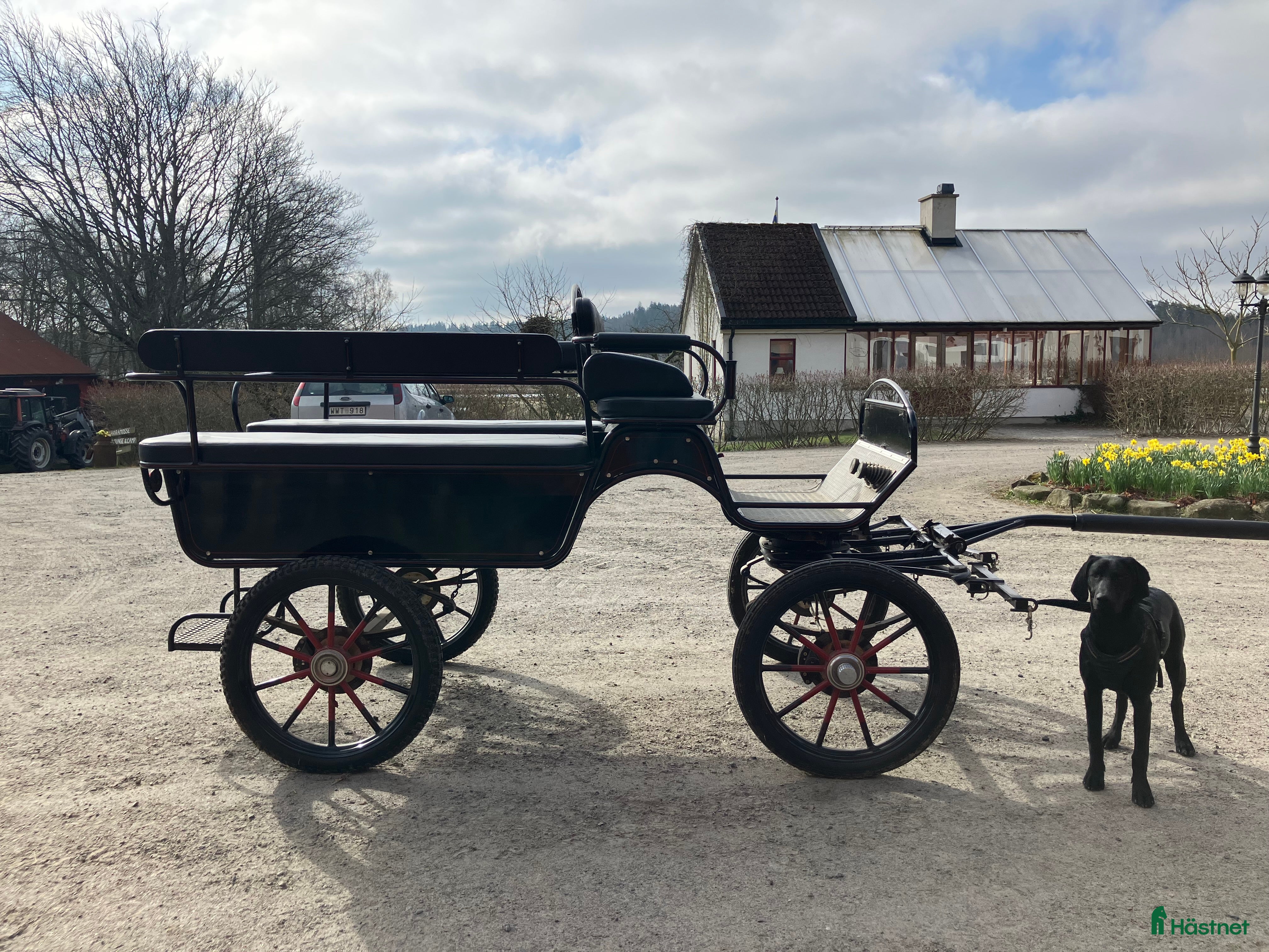 Körvagnar körning till salu: Trevlig vagn för utflykter! i Grimeton - Annons 23