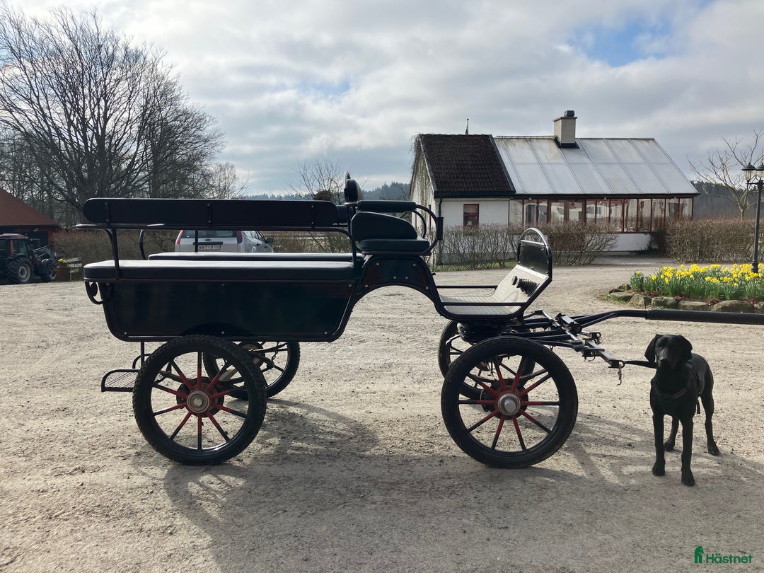 Körvagnar körning till salu: Trevlig vagn för utflykter! i Grimeton - Annons 1