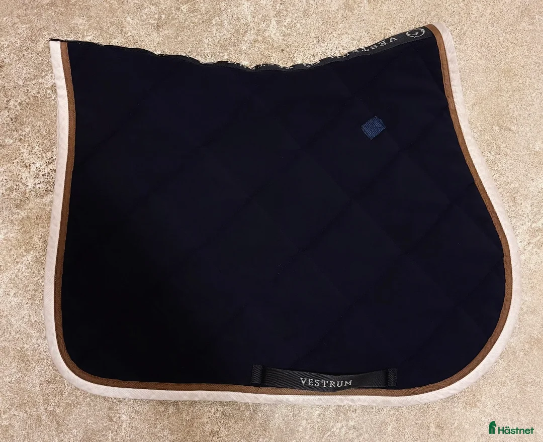 Schabrak & Vojlockar hästutrustning till salu: Vestrum schabrak i Sigtuna - Annons 2