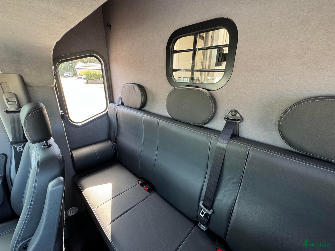 Hästlastbilar  fordon & transport till salu: VINTERKAMPANJ – PARAGAN EXCELSION 5XL STUTERI  i Köping - Annons 10