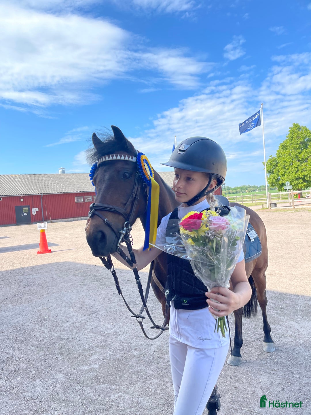 Hoppning hästar till salu: Rosett plockare i Sala - Annons 8